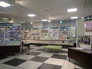 （写真）生きものと私たちのくらし展の様子2