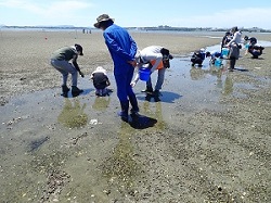 干潟の生き物を探している様子