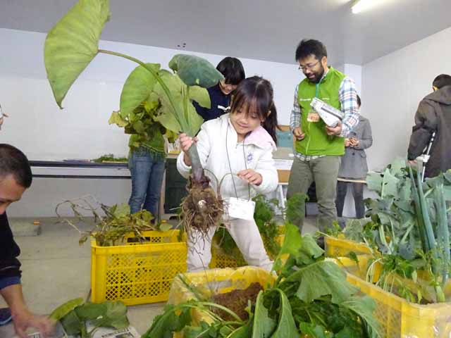 （写真）植物を手に取って観察している子どもの様子