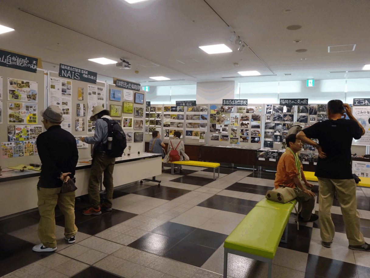 （写真）「生きものと私たちのくらし展」の様子