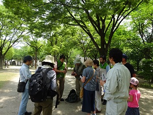 （写真）自然観察会の様子
