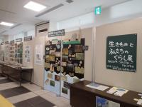 （写真）平成３０年生きものと私たちのくらし展