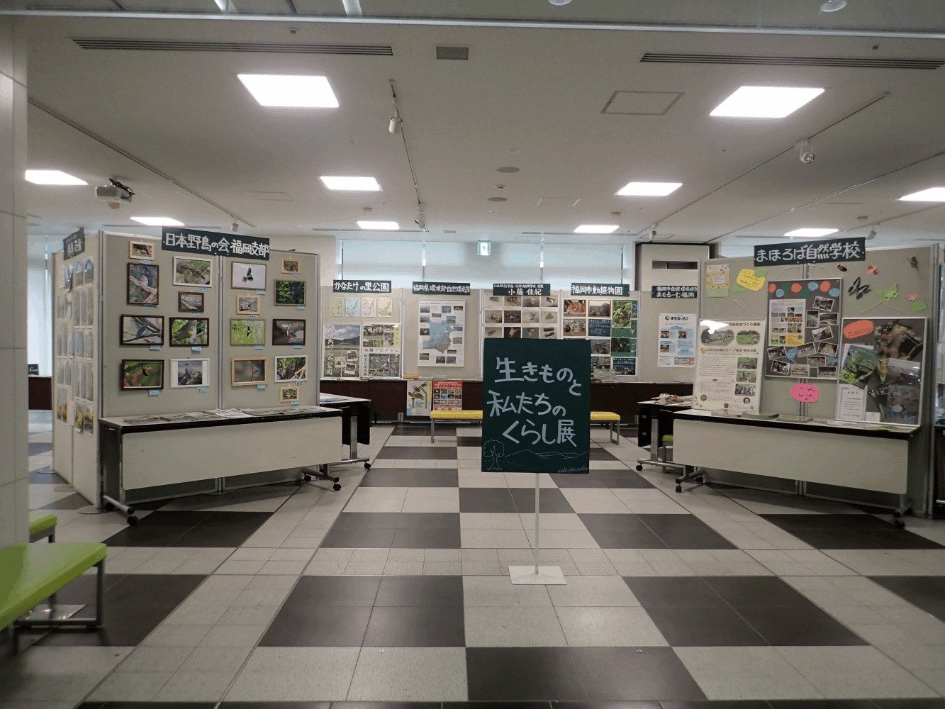 （写真）平成３０年生きものと私たちのくらし展２