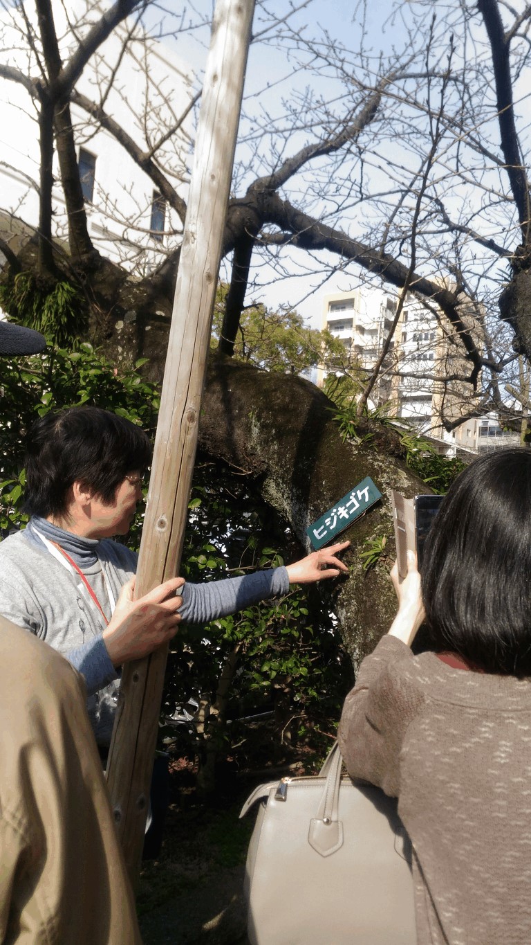 （写真）トークカフェの様子4