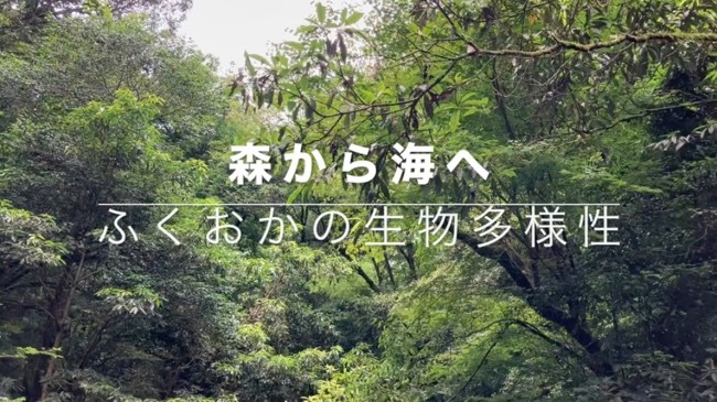 動画タイトル