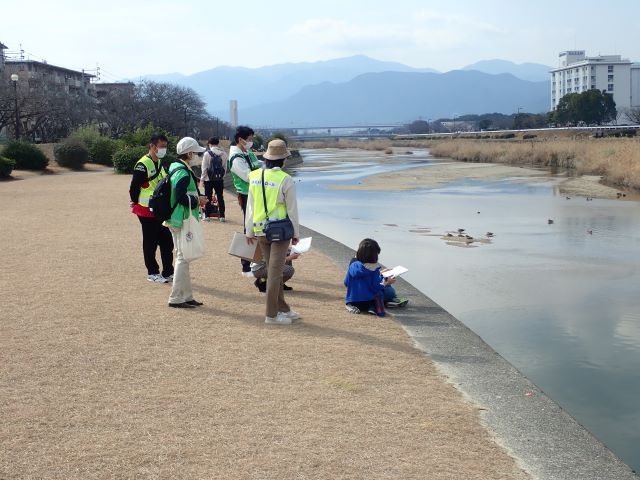 鳥の観察写真