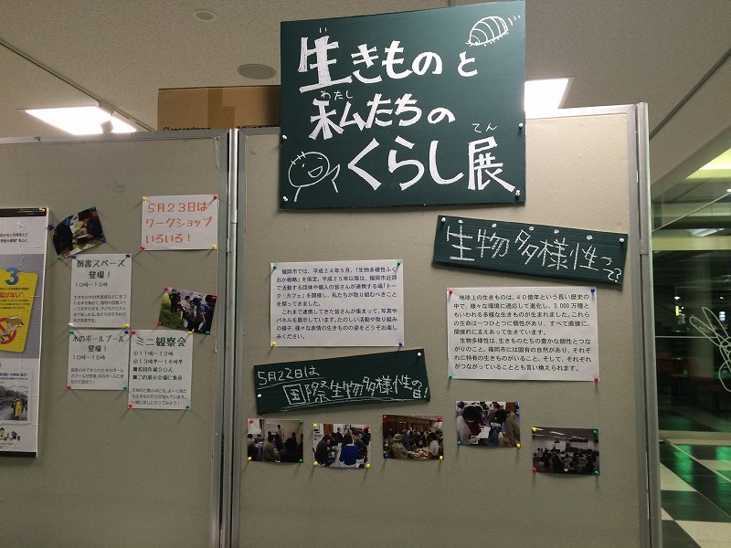 （写真）生きものと私たちのくらし展の展示風景