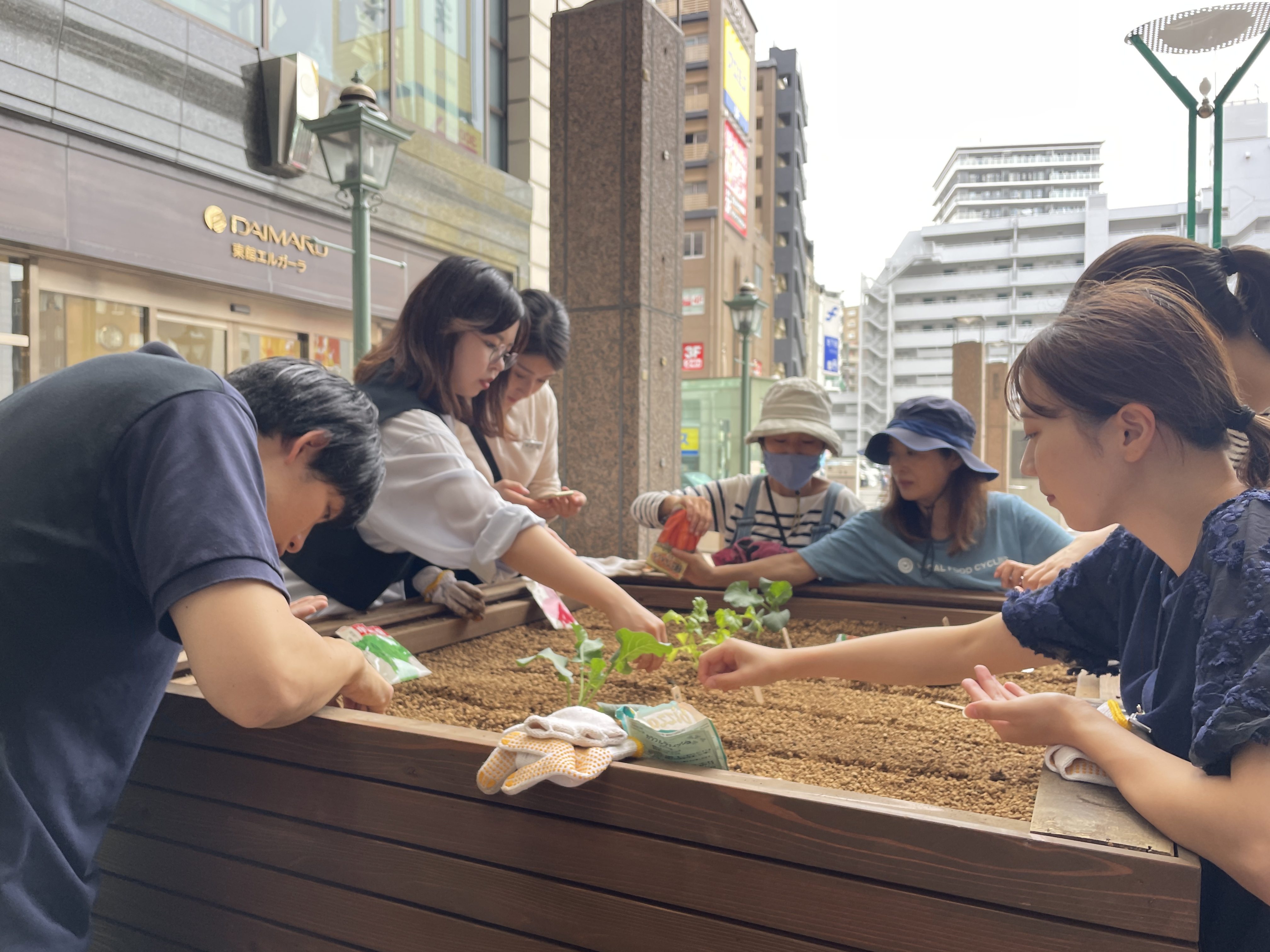 苗を植える様子