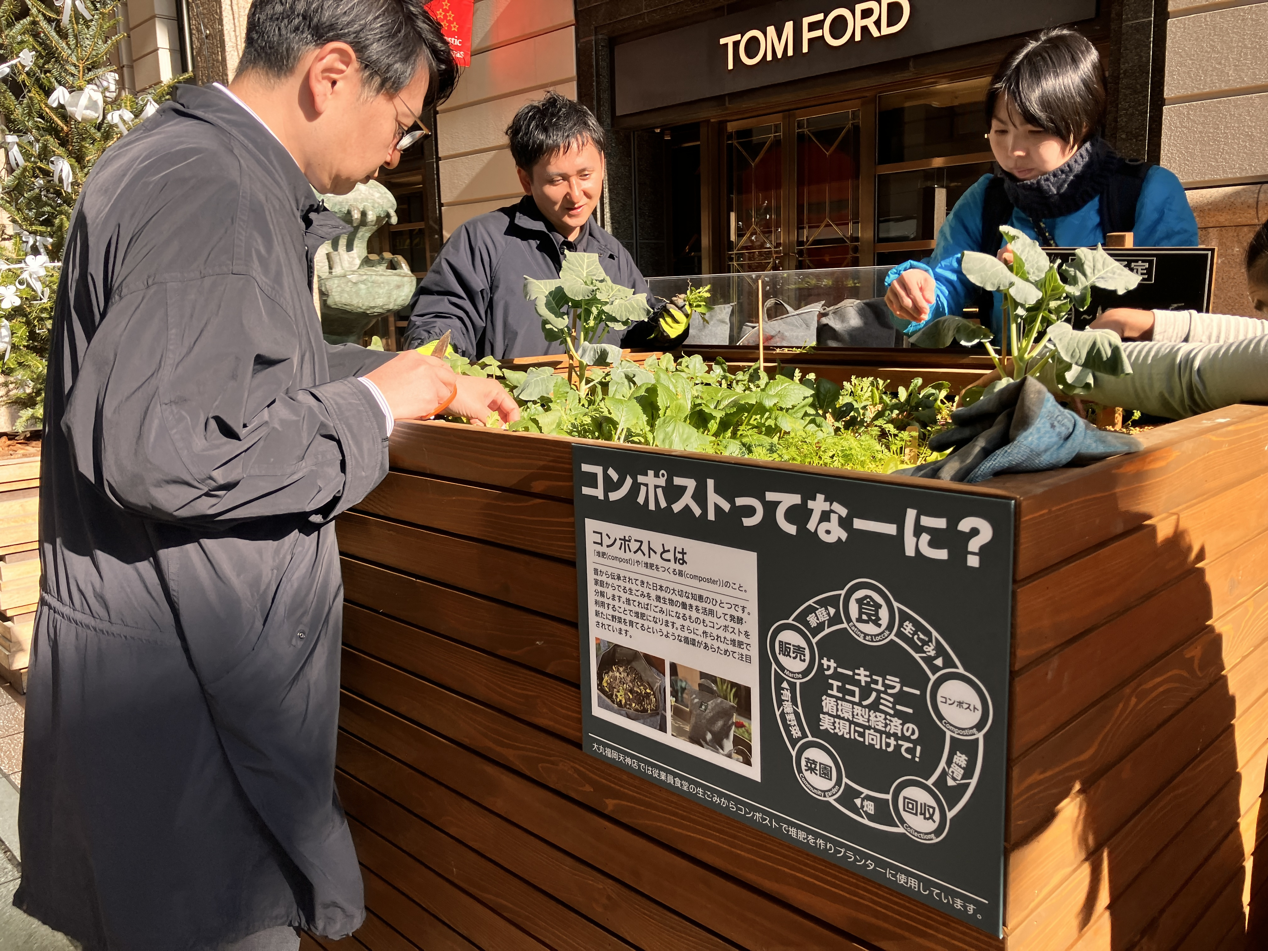 植える様子
