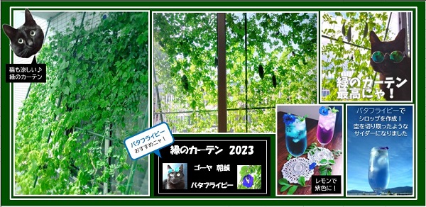 大迫邸の写真