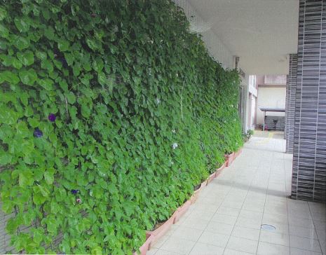 写真：一人一花賞　和白公民館様－１