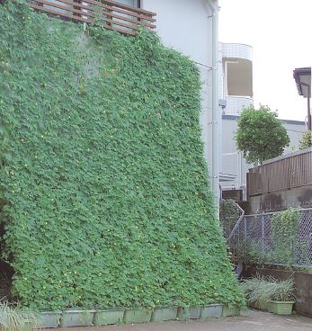 写真：入賞　七隈公民館様