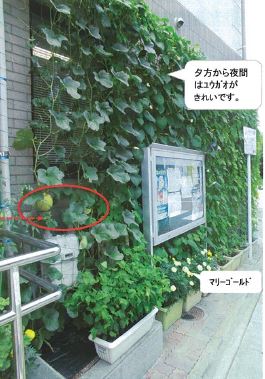 写真：入賞　原北公民館様