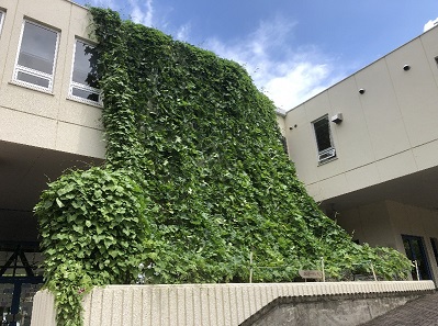 写真：優秀賞　ふくおか環境倶楽部，福岡市西部3Rステーション様－１
