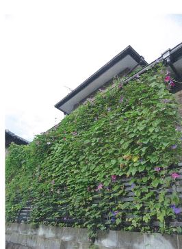 写真：優秀賞　原勝巳様－１