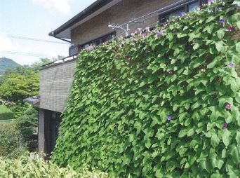 写真：優秀賞　原勝巳様－２