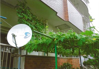 写真：優秀賞　匿名様－１
