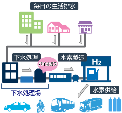 下水から水素を製造しFCV等へ供給するまでの流れ