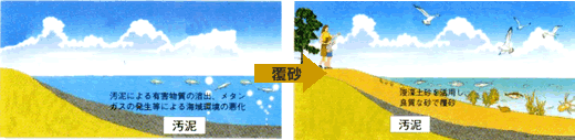画像：覆砂