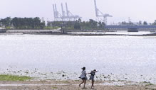 画像：海辺を散策
