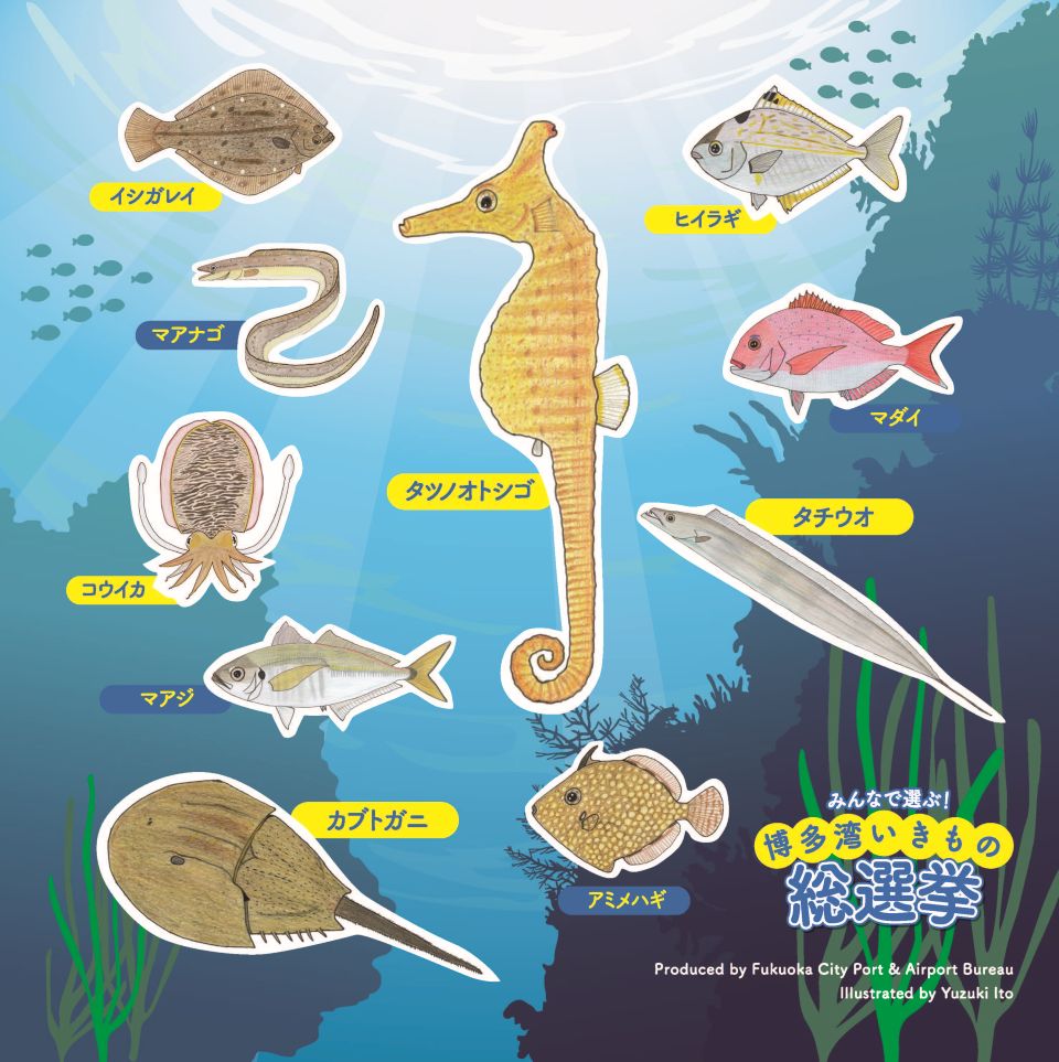博多湾いきもの総選挙のビジュアル