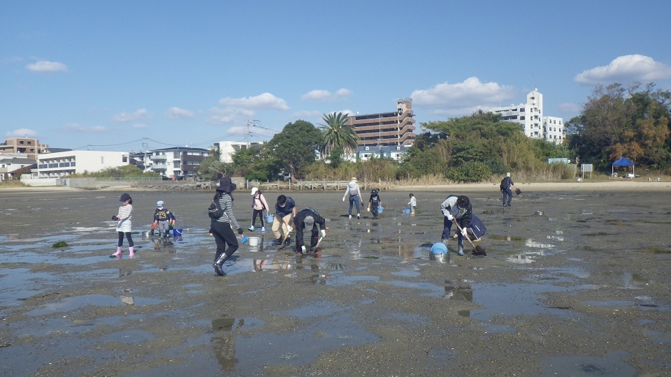 生き物観察