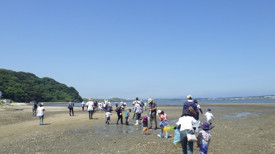 生き物観察
