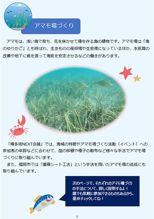 ブルーカーボンと福岡市の取組み３