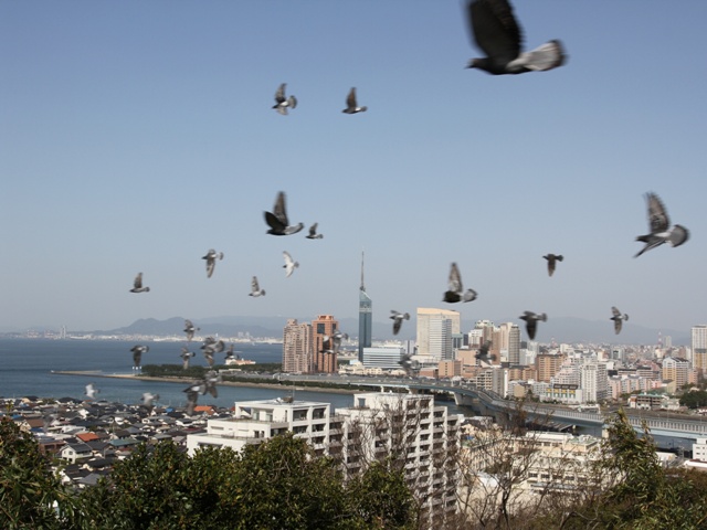 愛宕神社の写真