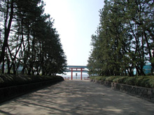 筥崎宮の写真