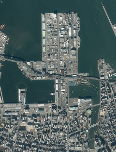 須崎ふ頭