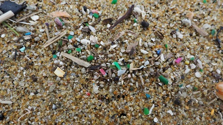 マイクロプラスチック