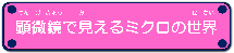 顕微鏡で見えるミクロの世界