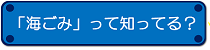 海ごみって知ってる