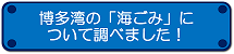 博多湾の海ごみについて調べました