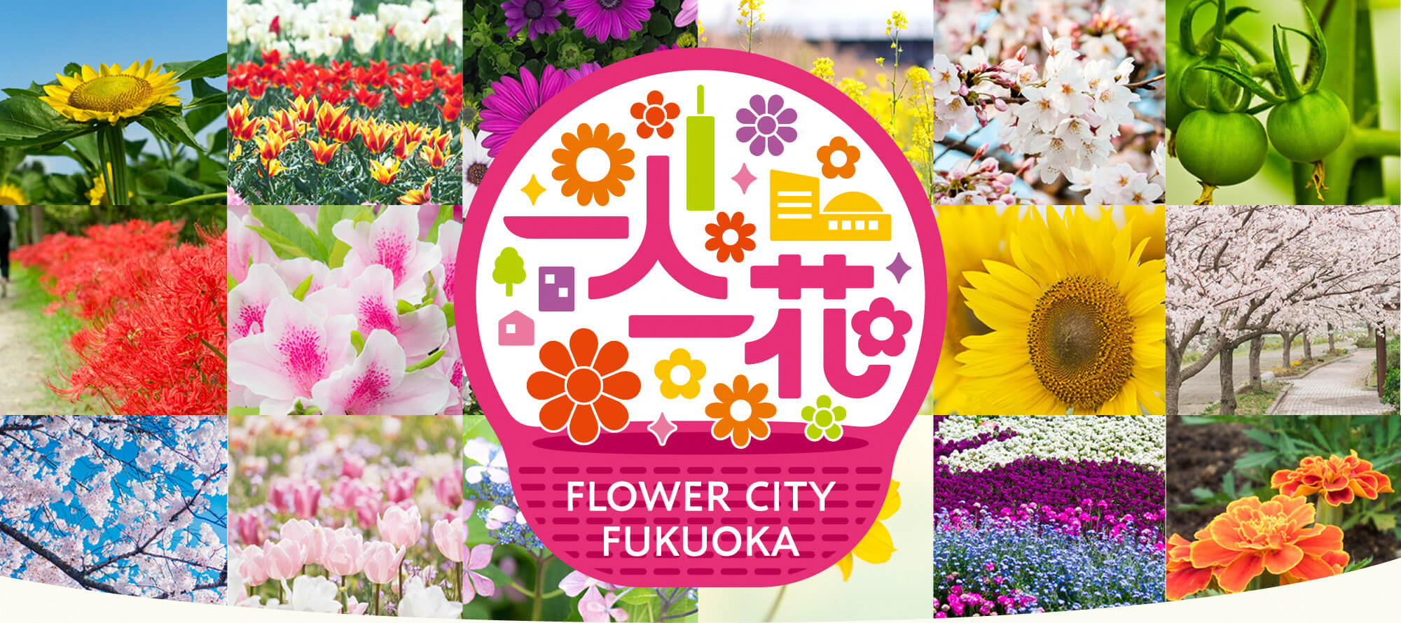 一人一花運動