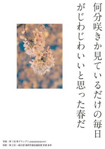 展示パネル１枚目