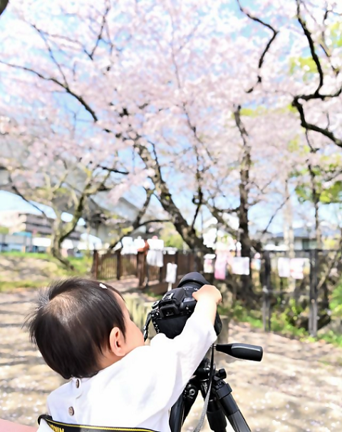 準グランプリの写真2