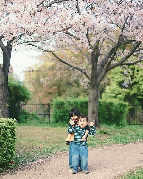 特別賞の写真3