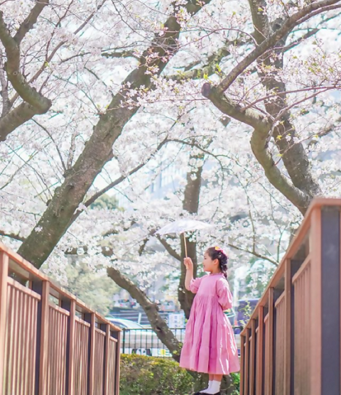 特別賞の写真4