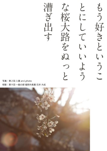 展示パネル6枚目