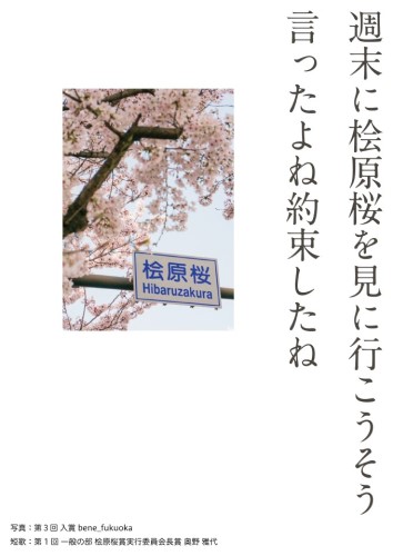 展示パネル7枚目