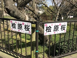 案内板設置後