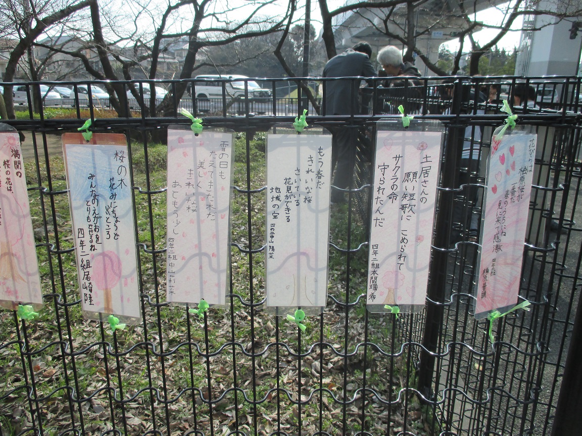 短冊