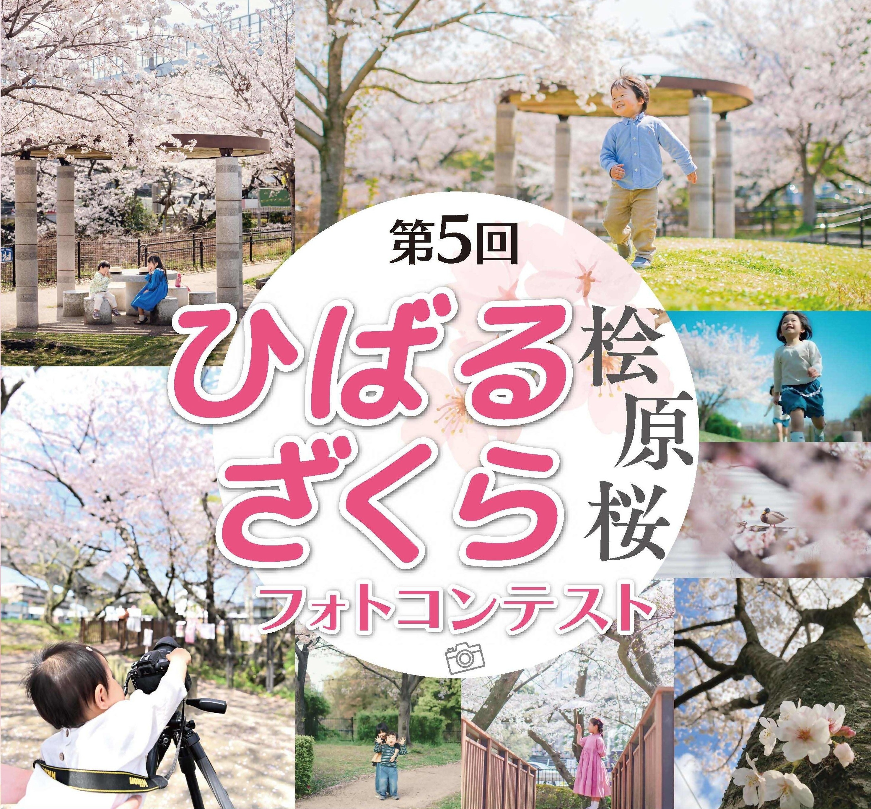 第５回桧原桜フォトコンテスト