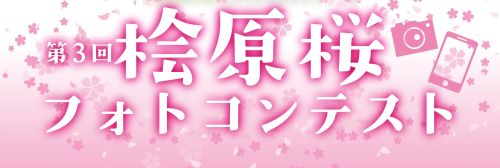 桧原桜フォトコンテスト