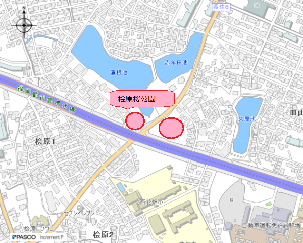桧原桜公園地図2