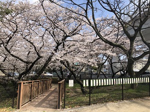 小学生短歌
