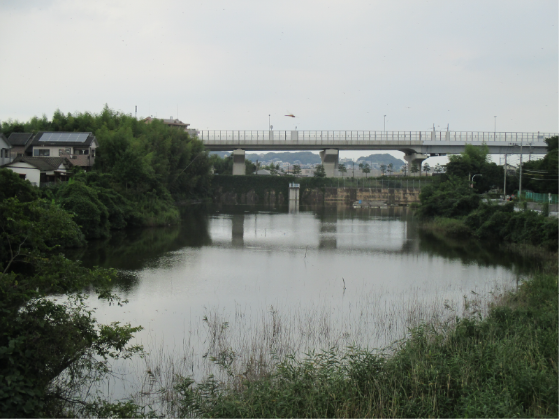若久池の画像