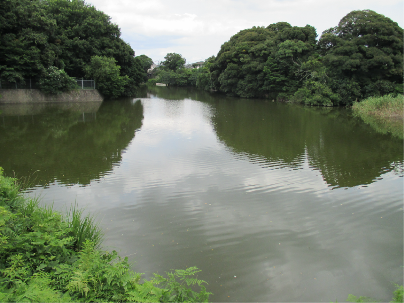 古池の画像